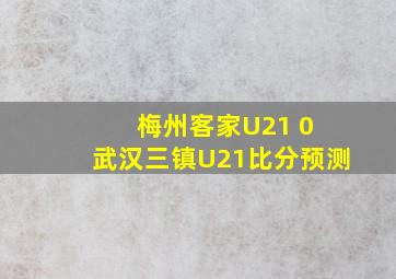 梅州客家U21 0 武汉三镇U21比分预测